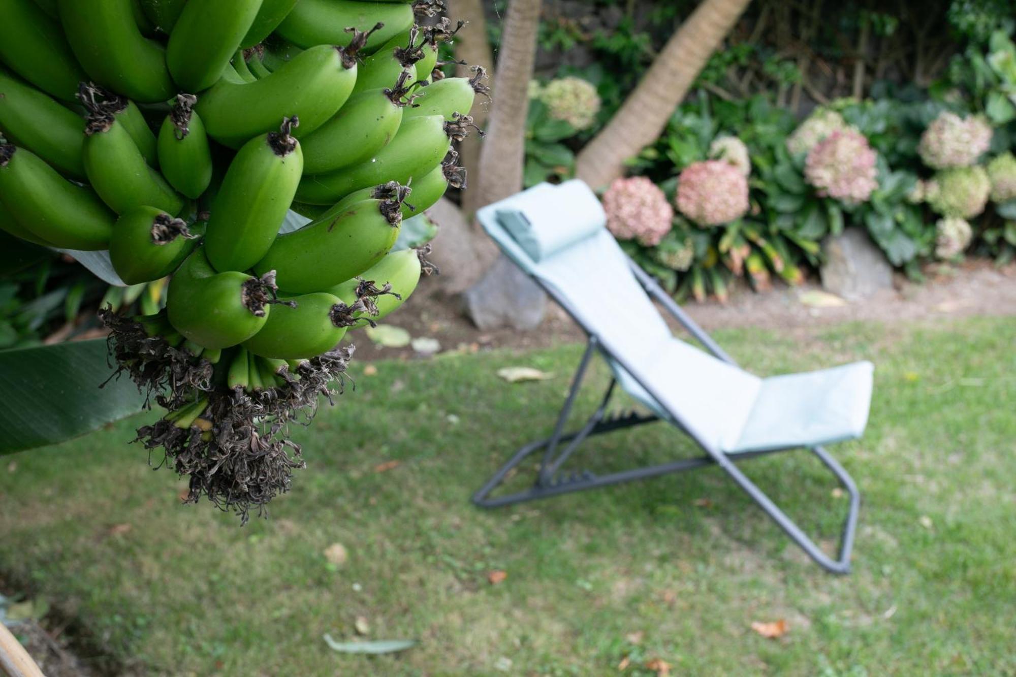 Maria'S Haven Santo Antonio (Sao Miguel) Exterior foto